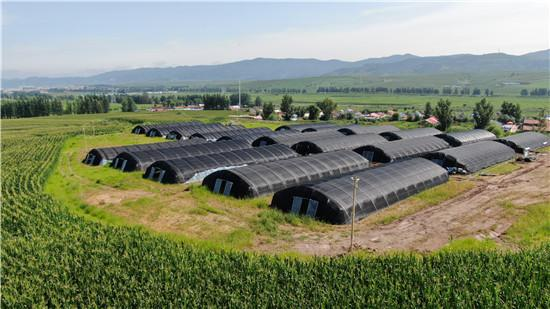 大同智慧農(nóng)業(yè)